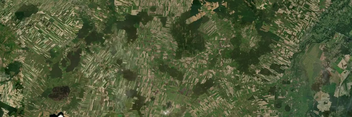 Widok na miasto: Sosnówka