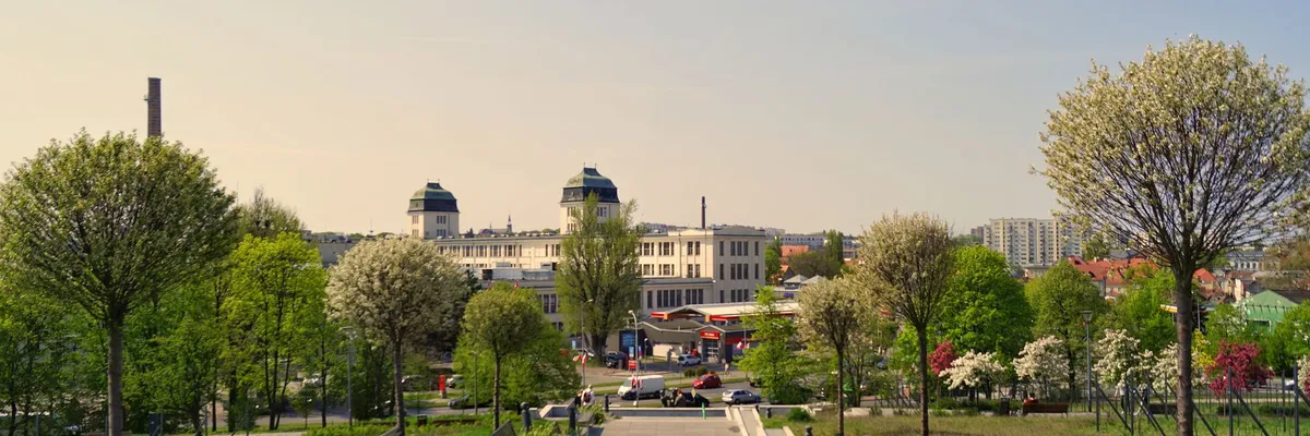 Widok na miasto: Zielona Góra