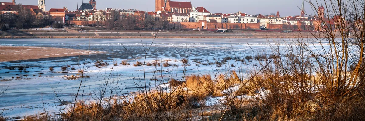 Widok na miasto: Gąsawa