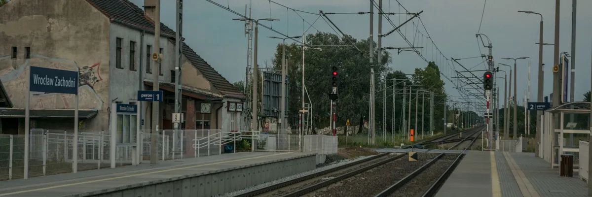 Widok na miasto: Lipce Reymontowskie
